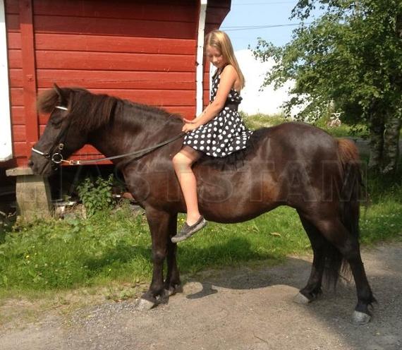 Profilbild