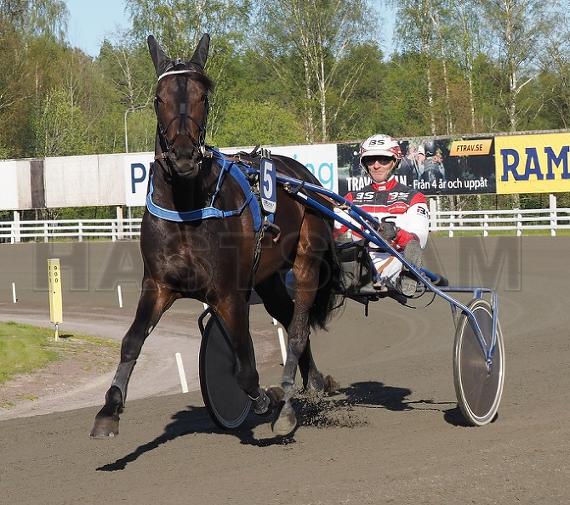 Profilbild
