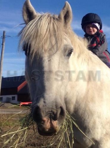 Profilbild