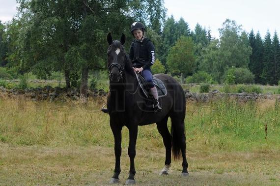 Profilbild