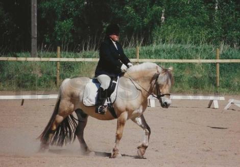 Profilbild