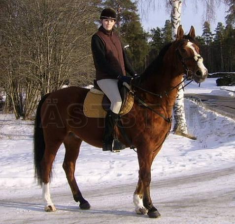 Profilbild