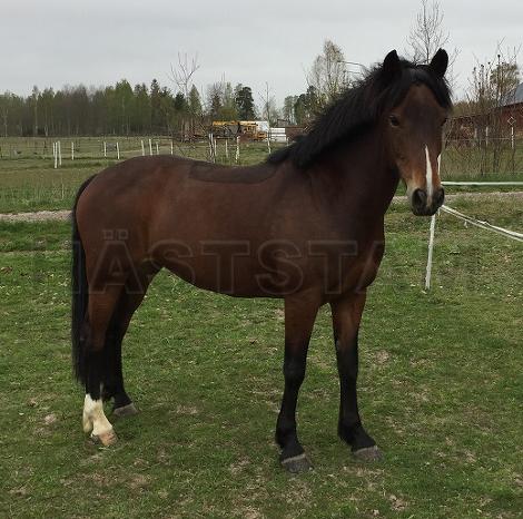 Profilbild