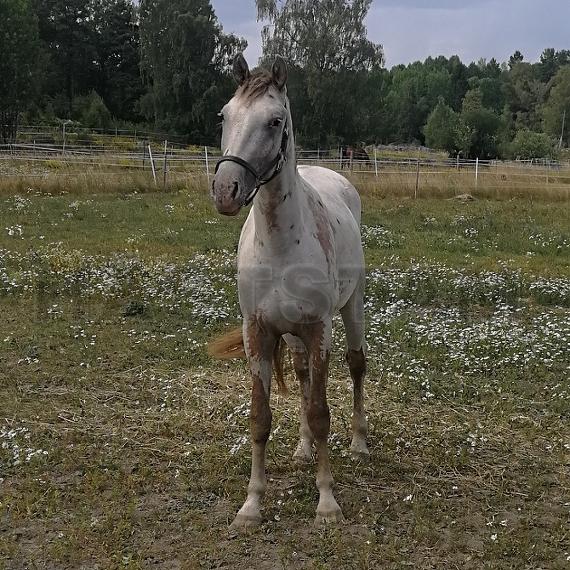 Profilbild