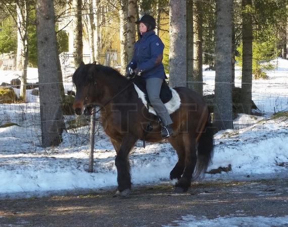 Profilbild