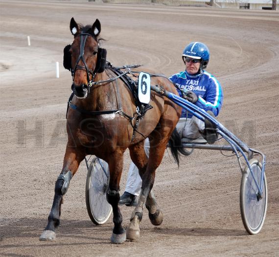 Profilbild
