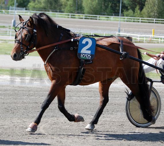 Profilbild