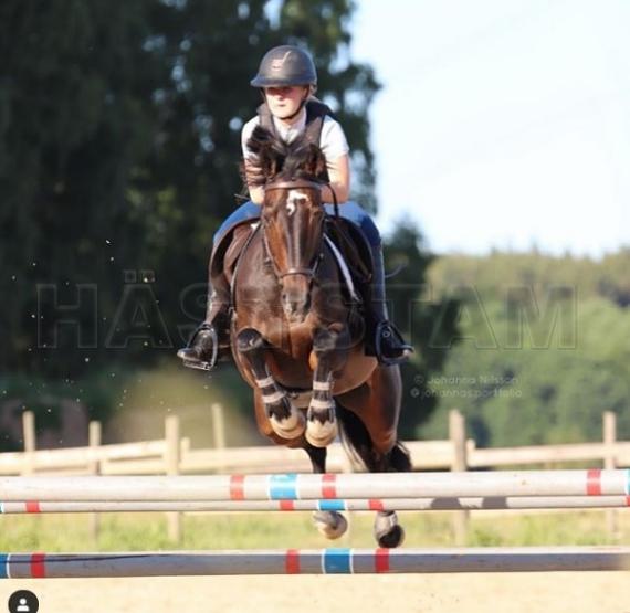 Profilbild