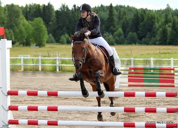 Profilbild