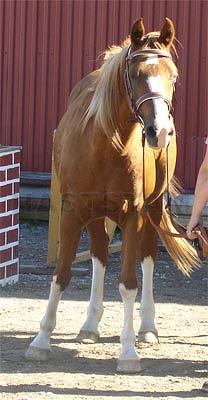 Profilbild