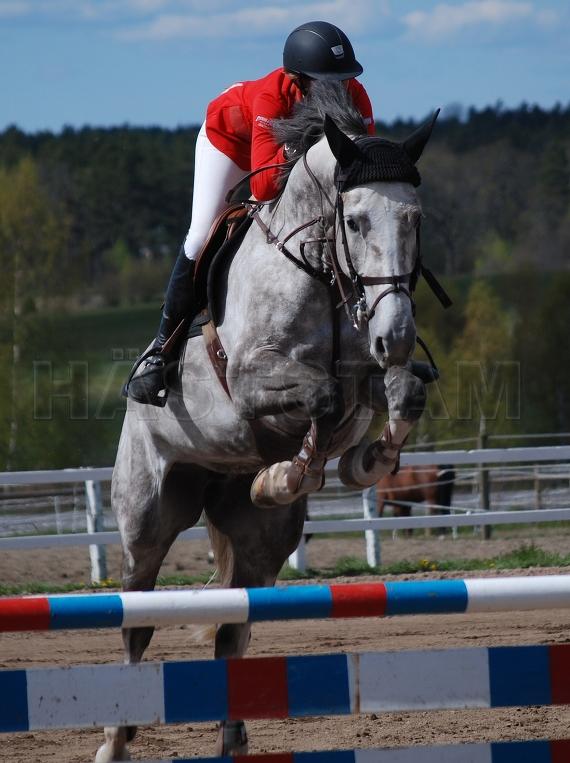 Profilbild