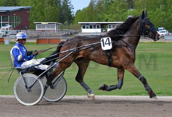Profilbild