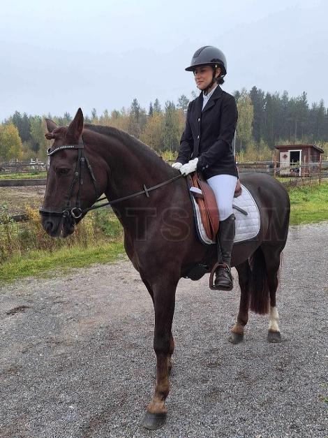 Profilbild