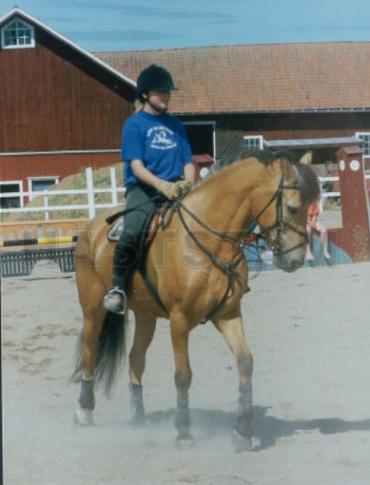 Profilbild