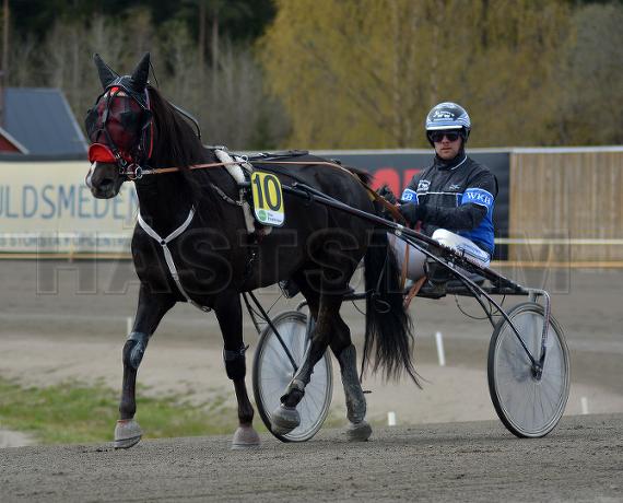 Profilbild