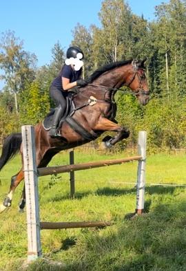 Profilbild