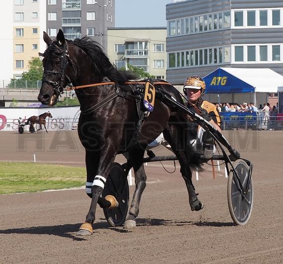 Profilbild