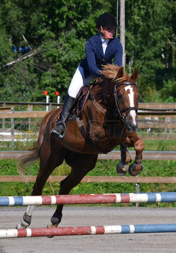 Profilbild