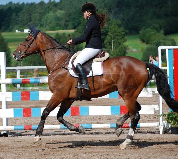 Profilbild