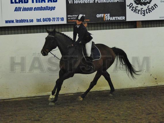 Profilbild