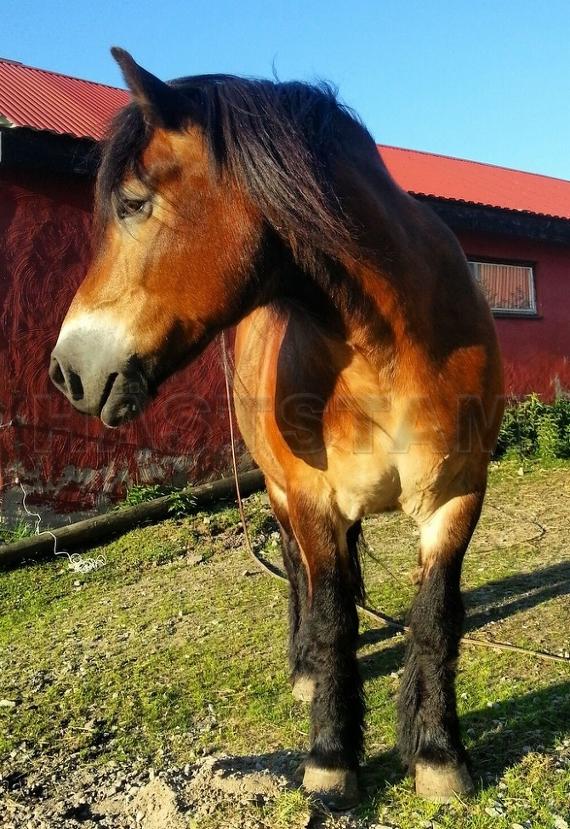 Profilbild