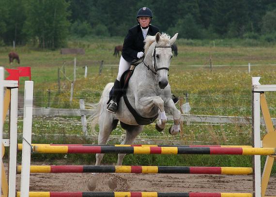 Profilbild