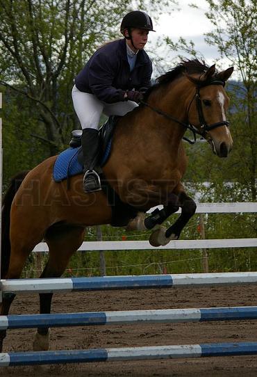 Profilbild