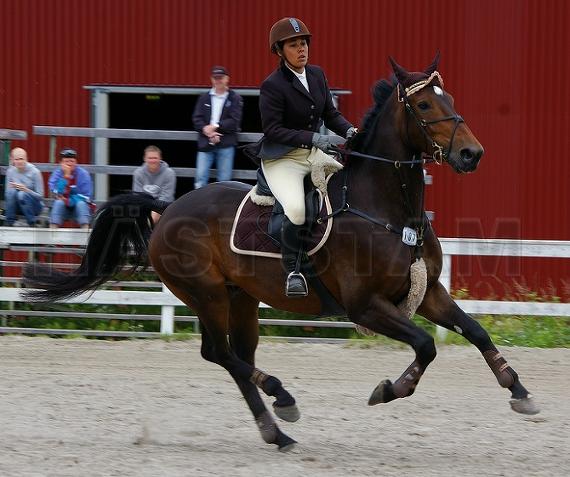Profilbild