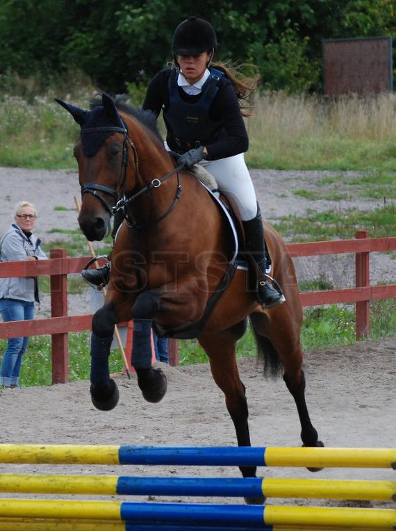 Profilbild