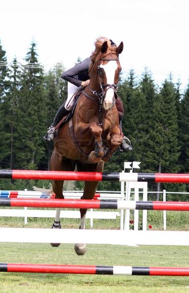 Profilbild