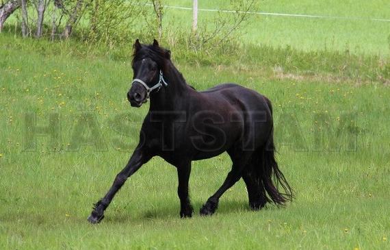 Profilbild