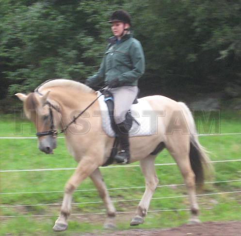 Profilbild