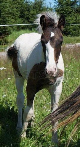 Profilbild