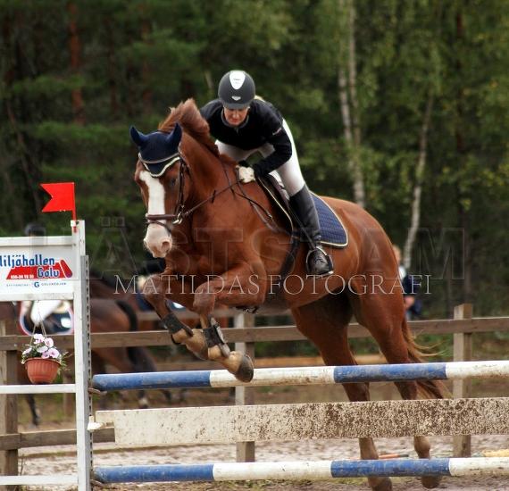 Profilbild