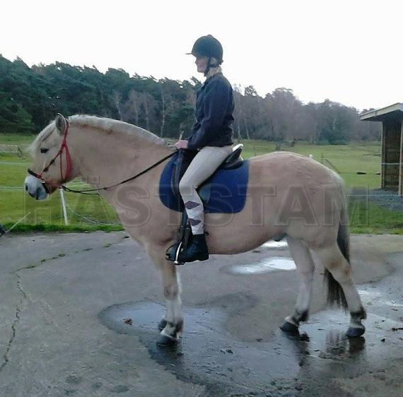 Profilbild