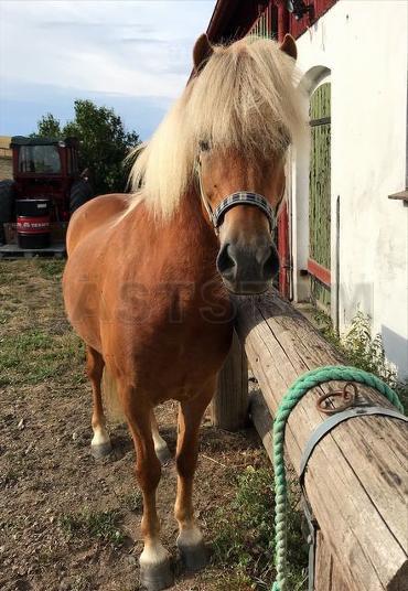 Profilbild