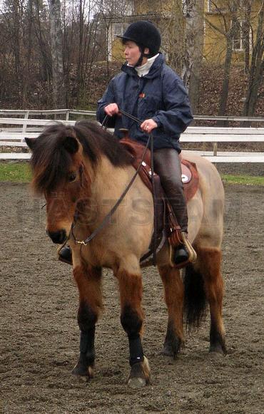 Profilbild