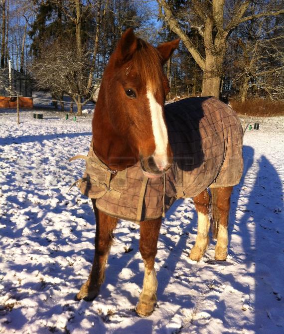 Profilbild