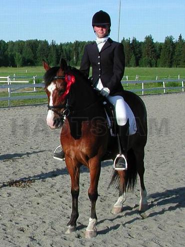 Profilbild