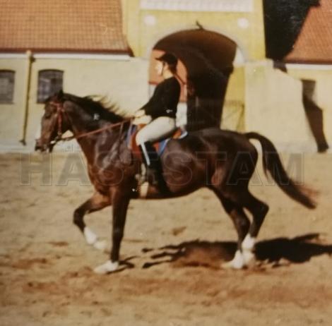 Profilbild