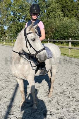 Profilbild