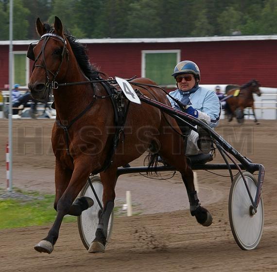 Profilbild