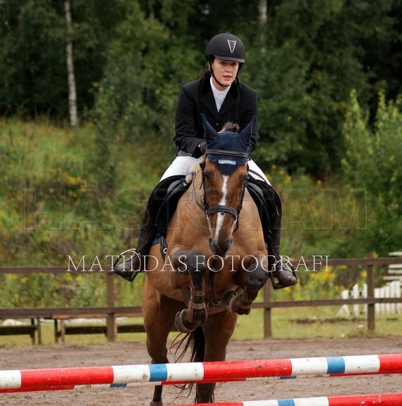 Profilbild