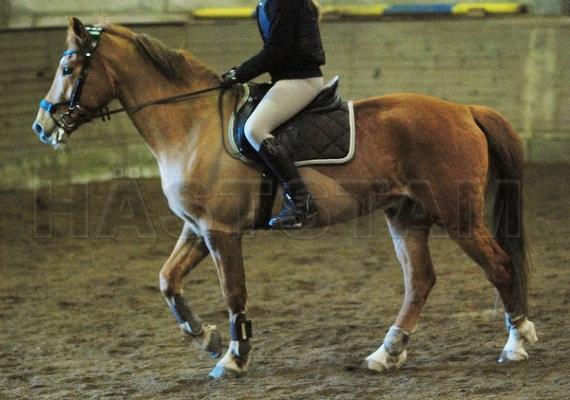 Profilbild