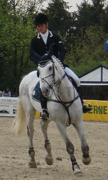 Profilbild