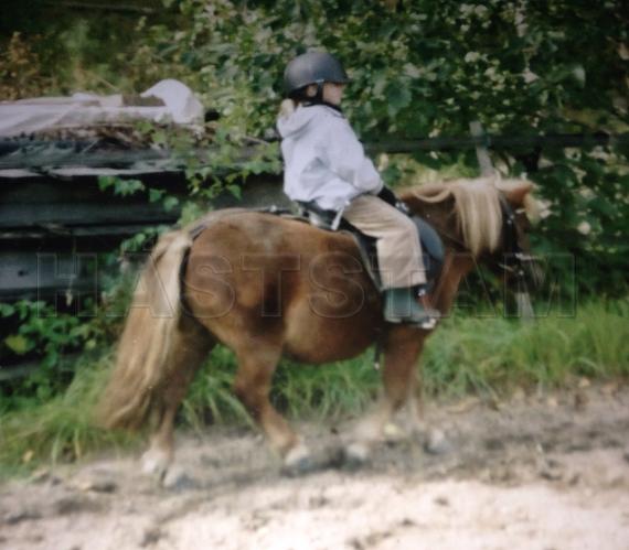 Profilbild