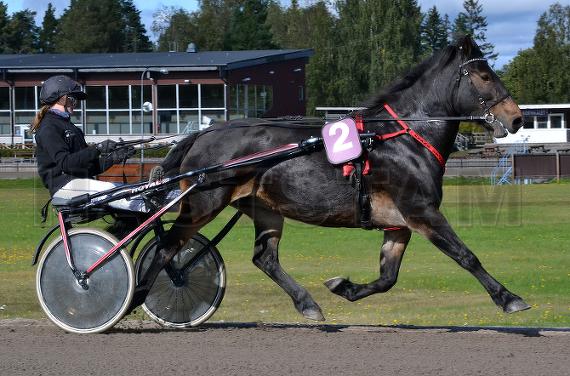 Profilbild