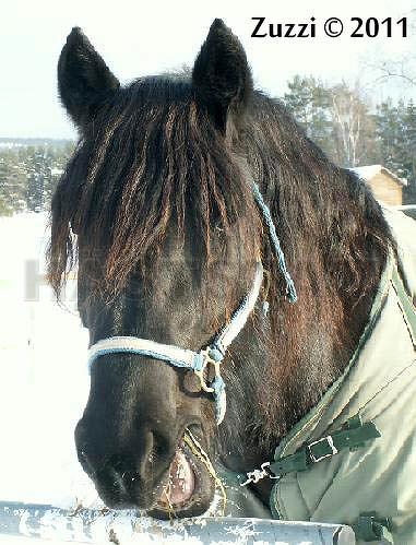 Profilbild