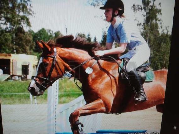 Profilbild