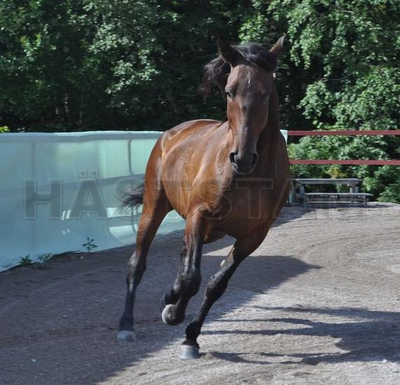 Profilbild